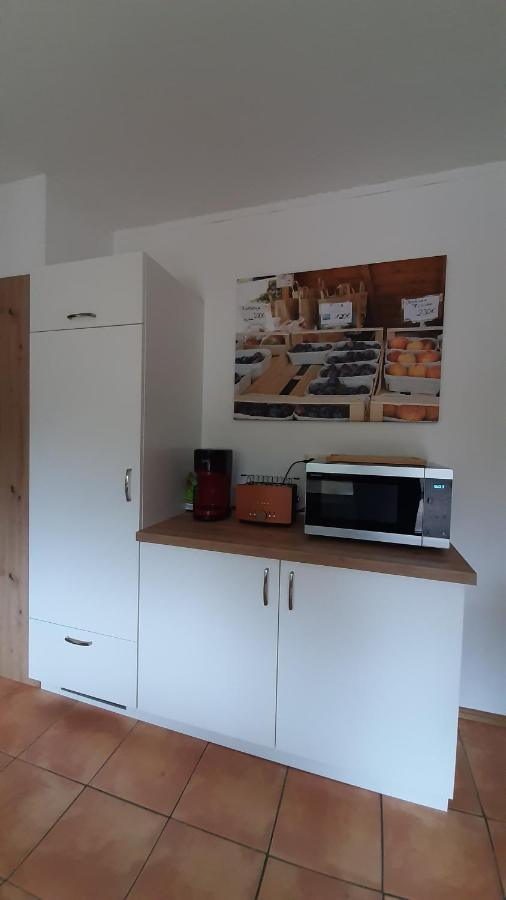 Steepleview House, Schwarzwaldblick Apartment - Spacious & Peaceful 바트 페테르스탈-그리스바흐 외부 사진