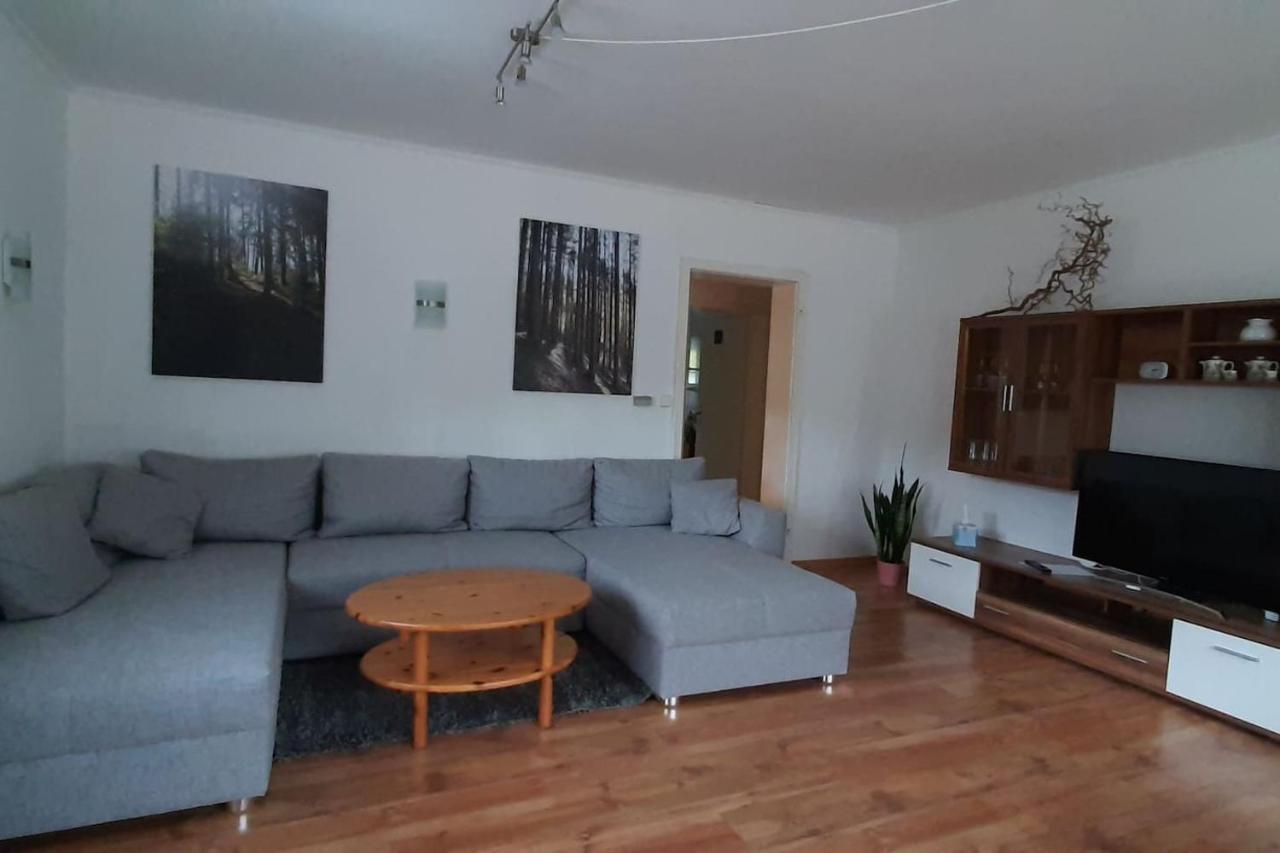 Steepleview House, Schwarzwaldblick Apartment - Spacious & Peaceful 바트 페테르스탈-그리스바흐 외부 사진